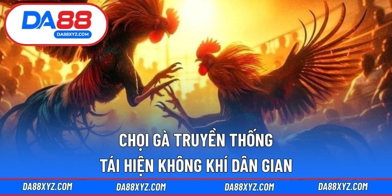 Chọi gà truyền thống
