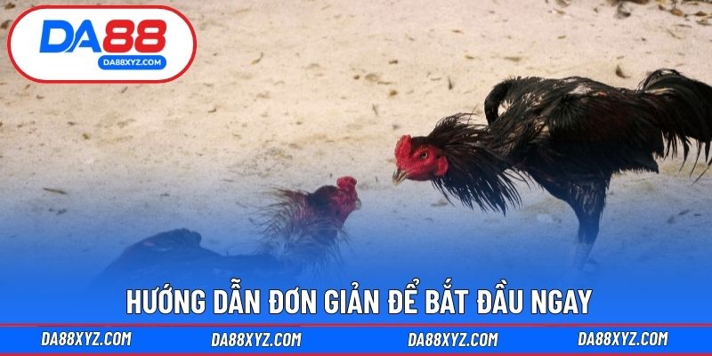 Hướng dẫn đơn giản để bắt đầu ngay