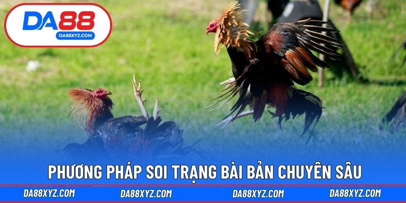 Phương pháp soi trạng bài bản chuyên sâu